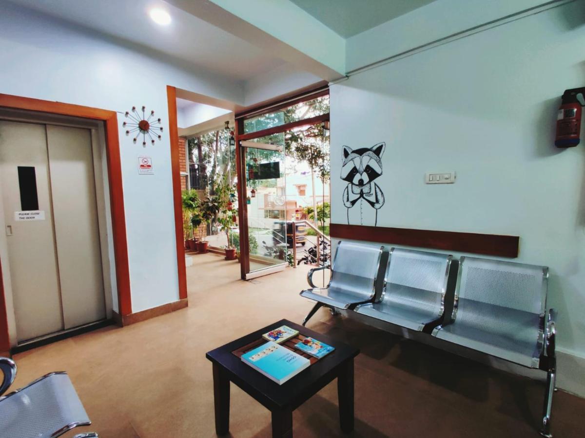 מייזור Raccoon Rooms מראה חיצוני תמונה