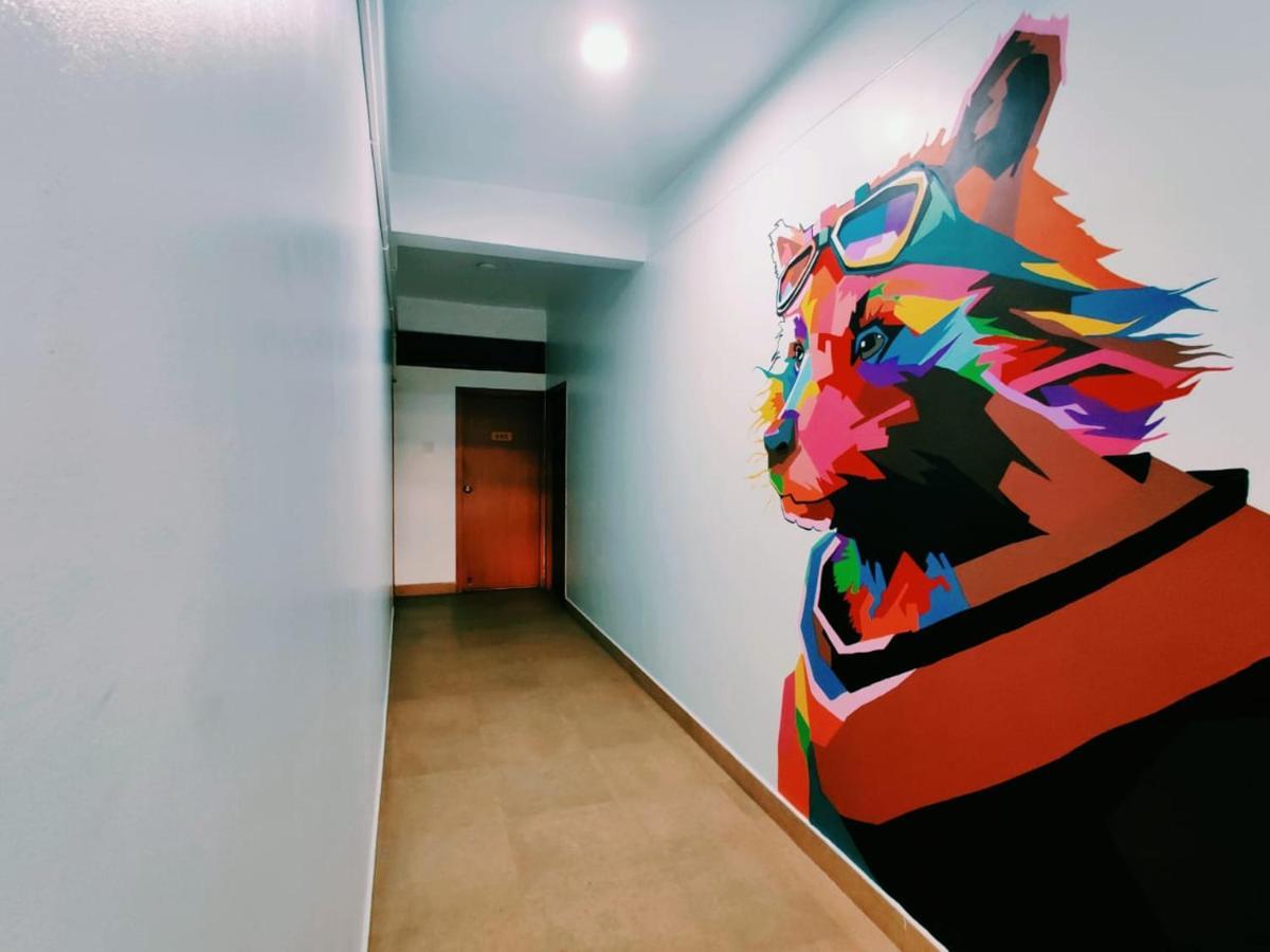 מייזור Raccoon Rooms מראה חיצוני תמונה
