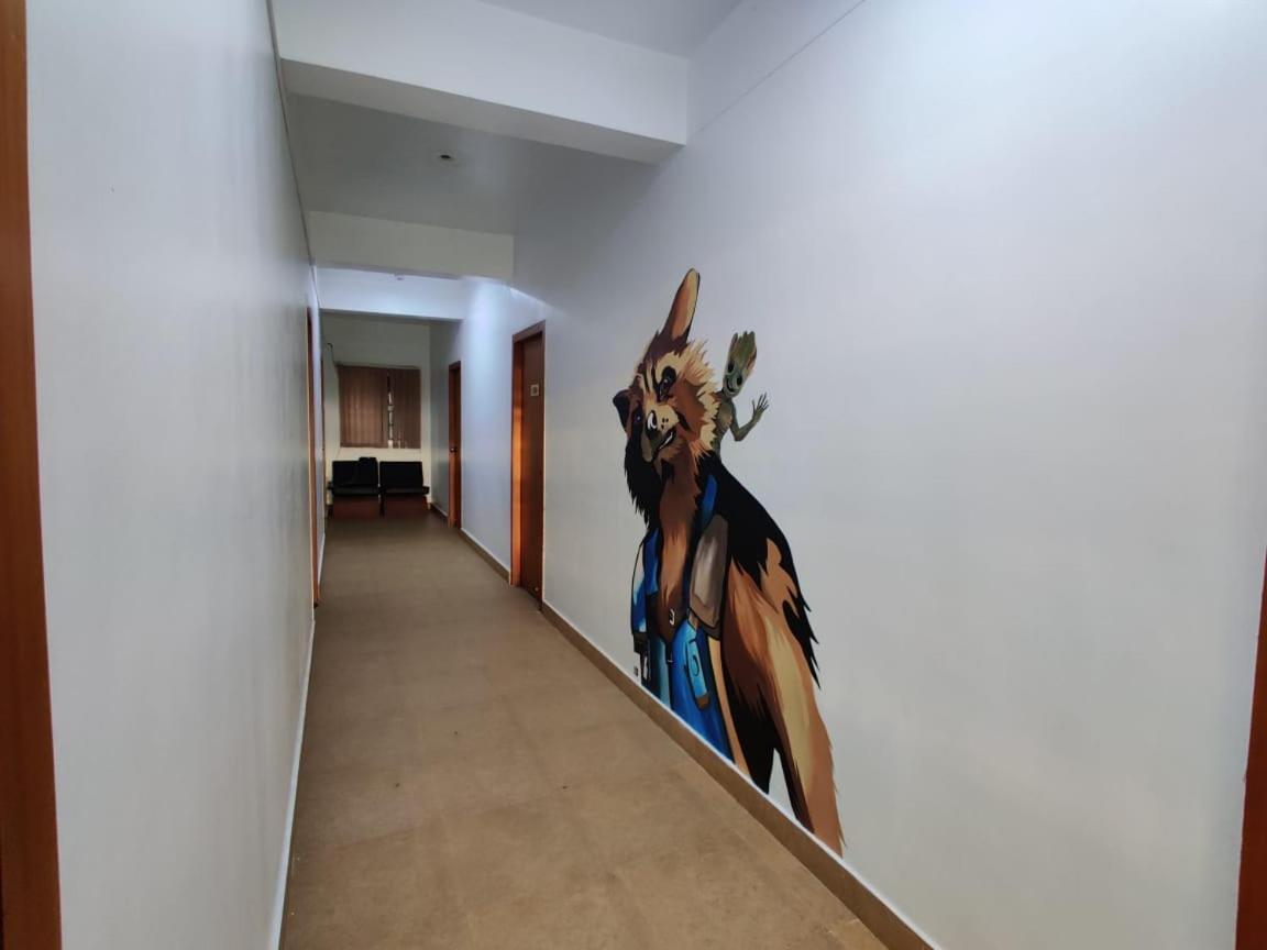 מייזור Raccoon Rooms מראה חיצוני תמונה