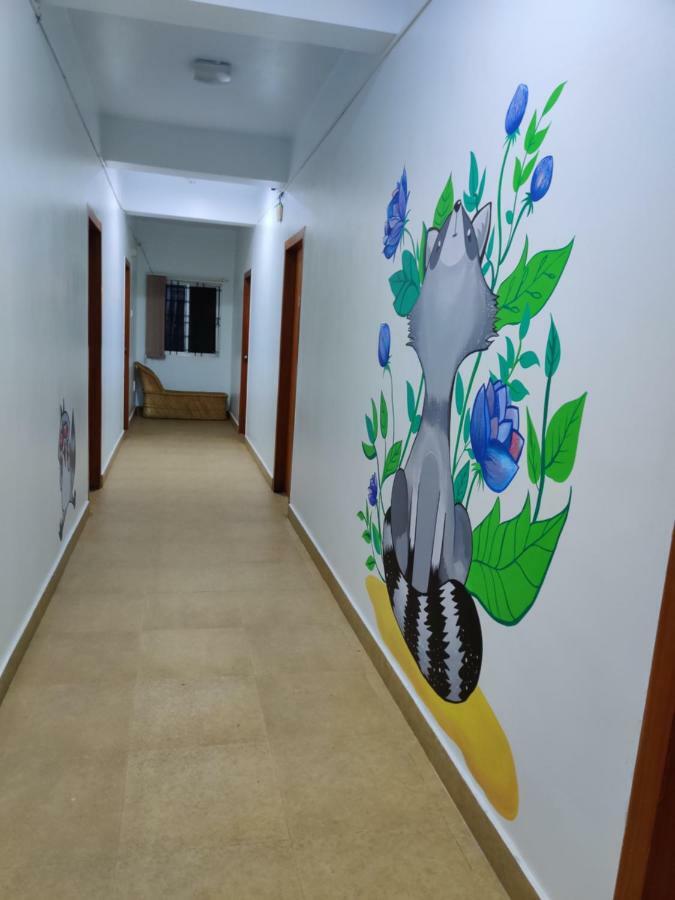 מייזור Raccoon Rooms מראה חיצוני תמונה