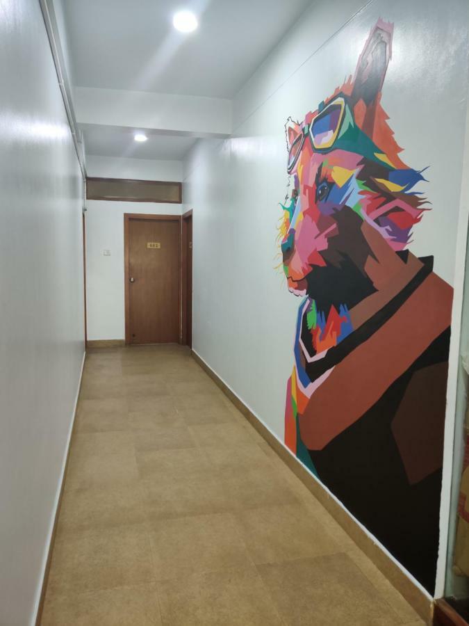 מייזור Raccoon Rooms מראה חיצוני תמונה